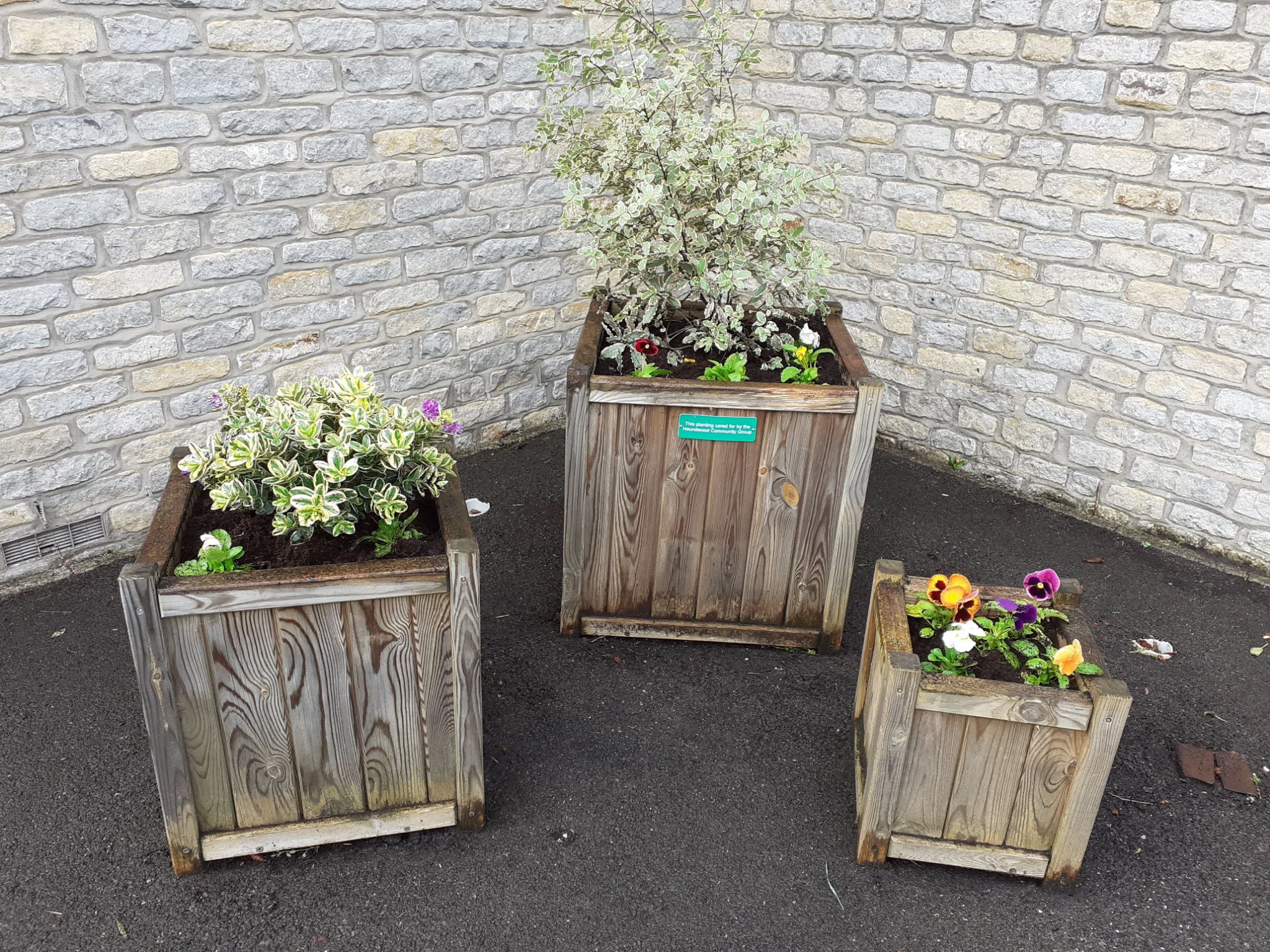 Planters  on Bulmead Parade