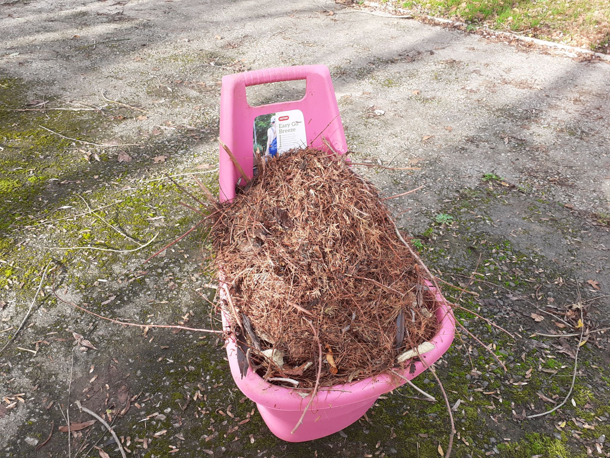 Busy day for the gardeners